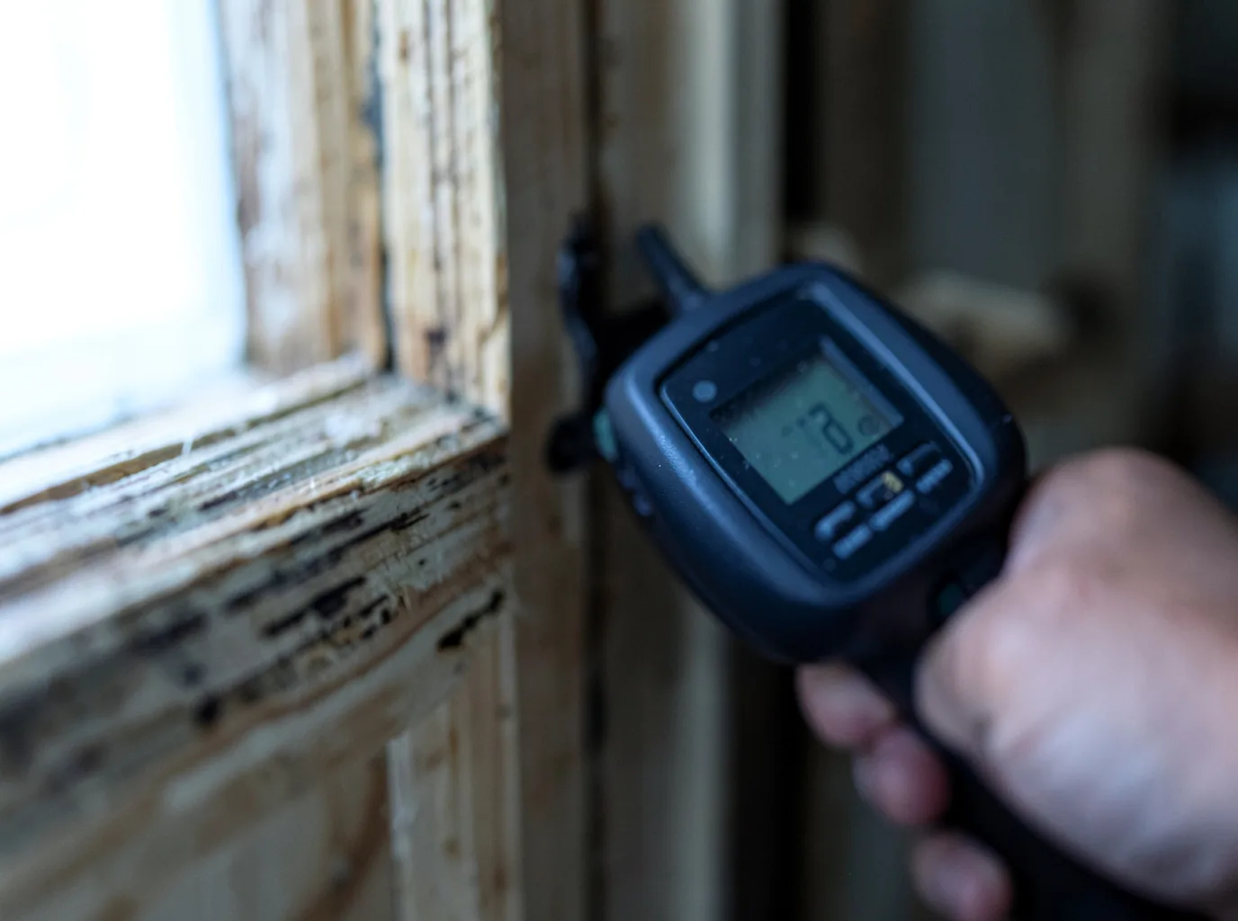 Moisture Inspection And Documentation in Ashburnham, MA